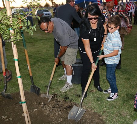 Gold Star families helped plant the final of five new trees at Lions Park, honoring those who gave their lives for their country.
